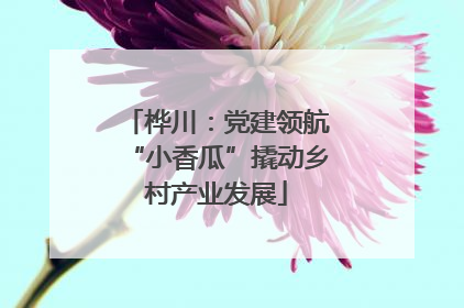 桦川：党建领航“小香瓜”撬动乡村产业发展