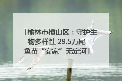 榆林市横山区：守护生物多样性 29.5万尾鱼苗“安家”无定河