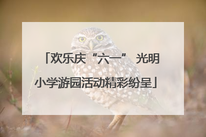 欢乐庆“六一” 光明小学游园活动精彩纷呈