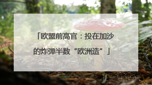 欧盟前高官：投在加沙的炸弹半数“欧洲造”