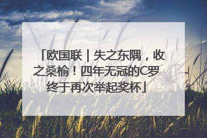 欧国联｜失之东隅，收之桑榆！四年无冠的C罗终于再次举起奖杯