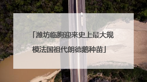潍坊临朐迎来史上最大规模法国祖代朗德鹅种苗