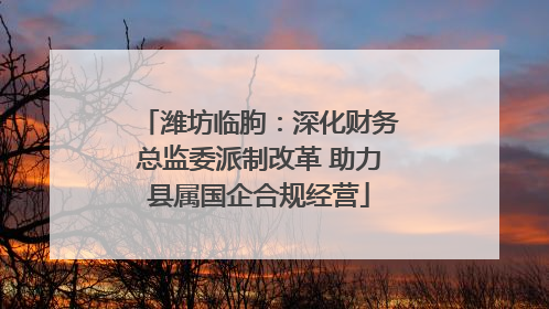潍坊临朐：深化财务总监委派制改革 助力县属国企合规经营