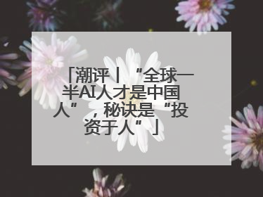 潮评丨“全球一半AI人才是中国人”，秘诀是“投资于人”