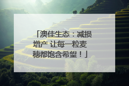 澳佳生态：减损增产 让每一粒麦穗都饱含希望！