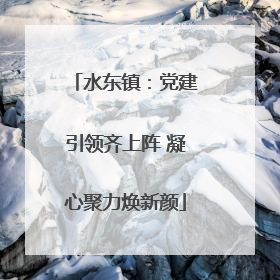 水东镇：党建引领齐上阵 凝心聚力焕新颜