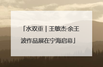 水双重｜王敏杰·余王波作品展在宁海启幕