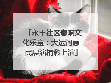 永丰社区奏响文化乐章：大运河惠民展演精彩上演