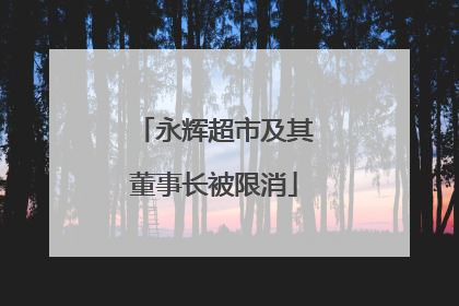 永辉超市及其董事长被限消