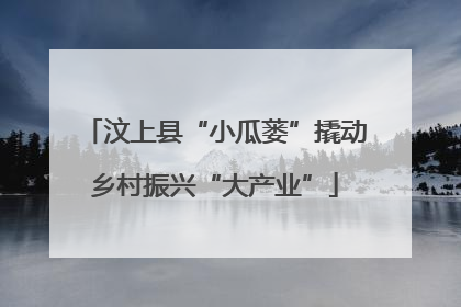 汶上县“小瓜蒌”撬动乡村振兴“大产业”