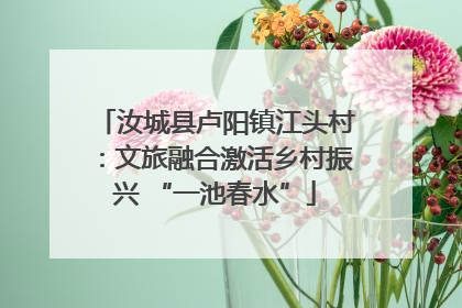 汝城县卢阳镇江头村：文旅融合激活乡村振兴 “一池春水”