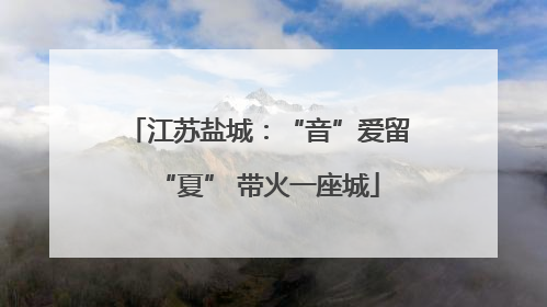 江苏盐城：“音”爱留“夏” 带火一座城