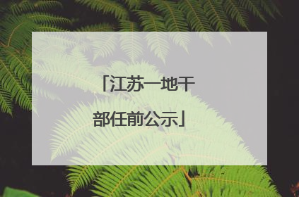 江苏一地干部任前公示