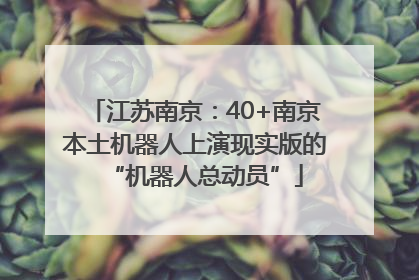 江苏南京：40+南京本土机器人上演现实版的“机器人总动员”