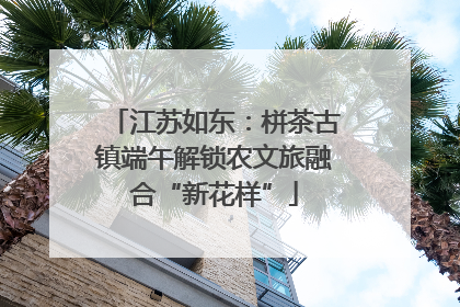 江苏如东：栟茶古镇端午解锁农文旅融合“新花样”