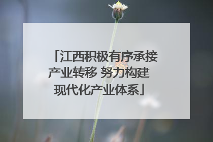 江西积极有序承接产业转移 努力构建现代化产业体系