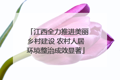 江西全力推进美丽乡村建设 农村人居环境整治成效显著