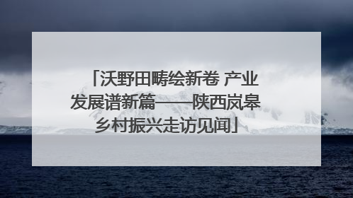 沃野田畴绘新卷 产业发展谱新篇——陕西岚皋乡村振兴走访见闻