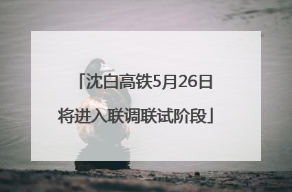 沈白高铁5月26日将进入联调联试阶段