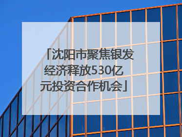 沈阳市聚焦银发经济释放530亿元投资合作机会