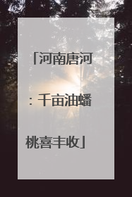 河南唐河：千亩油蟠桃喜丰收