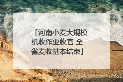 河南小麦大规模机收作业收官 全省麦收基本结束