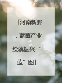 河南新野：蓝莓产业绘就振兴“蓝”图