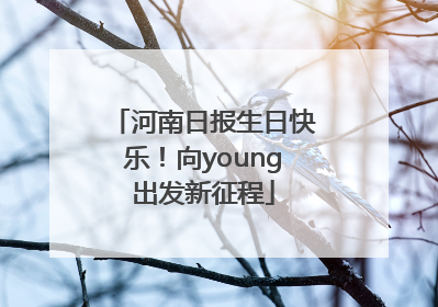 河南日报生日快乐！向young出发新征程