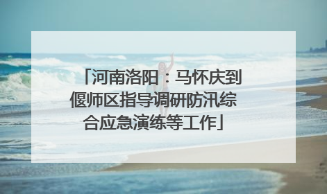 河南洛阳：马怀庆到偃师区指导调研防汛综合应急演练等工作