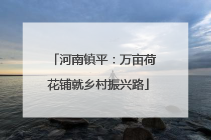 河南镇平：万亩荷花铺就乡村振兴路