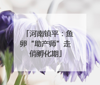 河南镇平：鱼卵“助产师”走俏孵化期
