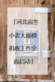 河北省冬小麦大规模机收工作全面启动