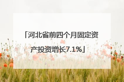 河北省前四个月固定资产投资增长7.1%