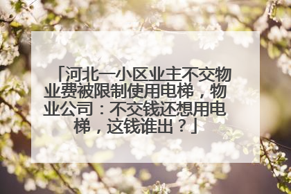 河北一小区业主不交物业费被限制使用电梯，物业公司：不交钱还想用电梯，这钱谁出？