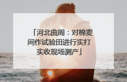 河北曲周：对棉麦间作试验田进行实打实收现场测产