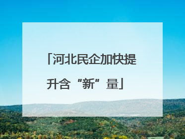 河北民企加快提升含“新”量