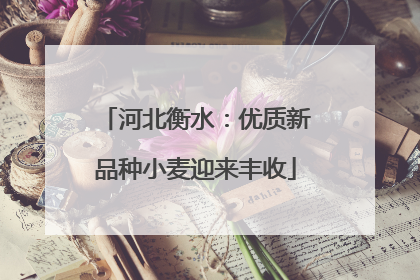 河北衡水：优质新品种小麦迎来丰收