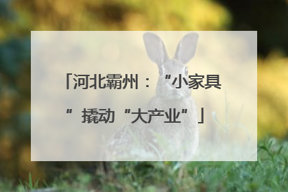 河北霸州：“小家具”撬动“大产业”