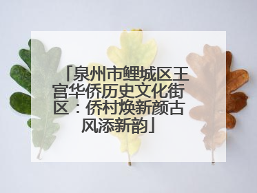泉州市鲤城区王宫华侨历史文化街区：侨村焕新颜古风添新韵
