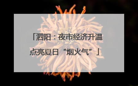 泗阳：夜市经济升温 点亮夏日“烟火气”