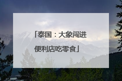 泰国：大象闯进便利店吃零食