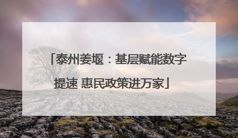 泰州姜堰：基层赋能数字提速 惠民政策进万家