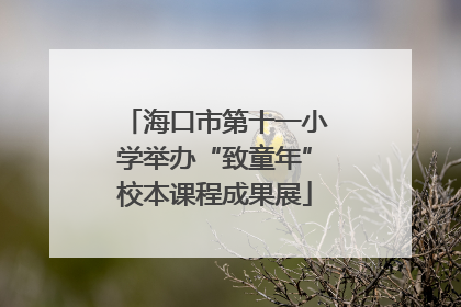 海口市第十一小学举办“致童年”校本课程成果展