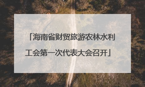 海南省财贸旅游农林水利工会第一次代表大会召开