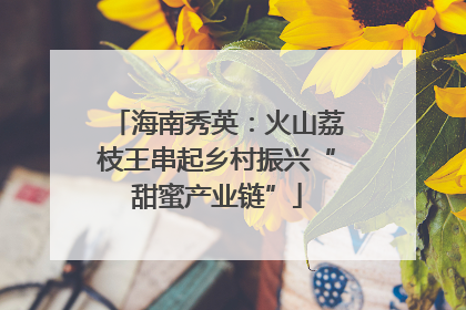 海南秀英：火山荔枝王串起乡村振兴“甜蜜产业链”