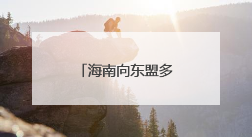 海南向东盟多国旅游业界推介文旅魅力