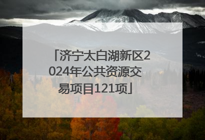 济宁太白湖新区2024年公共资源交易项目121项