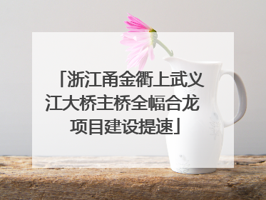 浙江甬金衢上武义江大桥主桥全幅合龙 项目建设提速