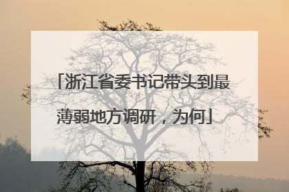 浙江省委书记带头到最薄弱地方调研，为何