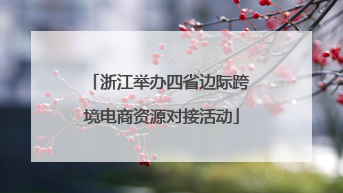 浙江举办四省边际跨境电商资源对接活动